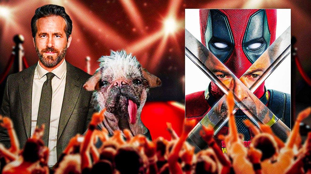Deadpool & Wolverine movie poster, Ryan Reynolds, and a picture of Britain's Ugliest Dog award winner Peggy (who plays Dogpool in the movie)