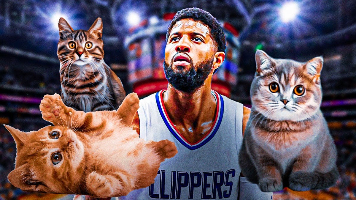 Los Angeles Clippers forward Paul George surrounded by cats